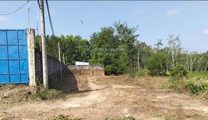 Bán đất tại xã phước hòa, 50000m2, ngõ vào rộng 24m, pháp lý đầy đủ