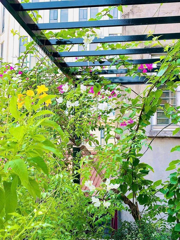 Homestay hàng vôi, hoàn kiếm, dòng tiền 40tr/tháng, 75m2 2pn nhà đẹp giá 7,5 tỷ