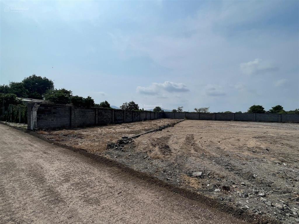 Chủ gửi bán 457m2 200 tc đất ngay đường ven biển lộc an ngay gozo farm hợp làm homestay giá 2,2 tỷ