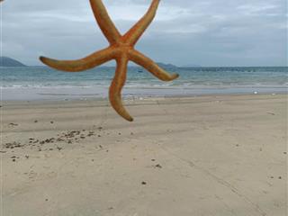 Bán đất mặt biển phú yên giá quá rẻ, hiếm có, tiềm năng x5 x10