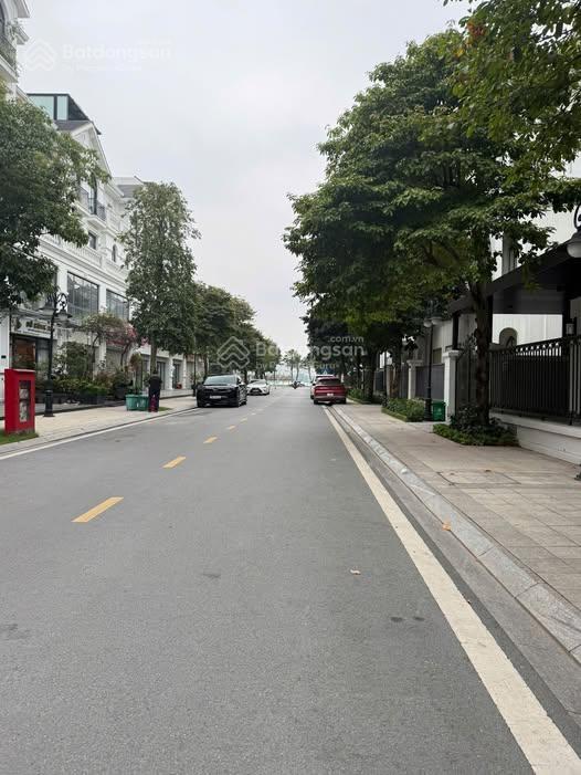 Rẻ đẹp hiếm nhất đa tốn hiện tại