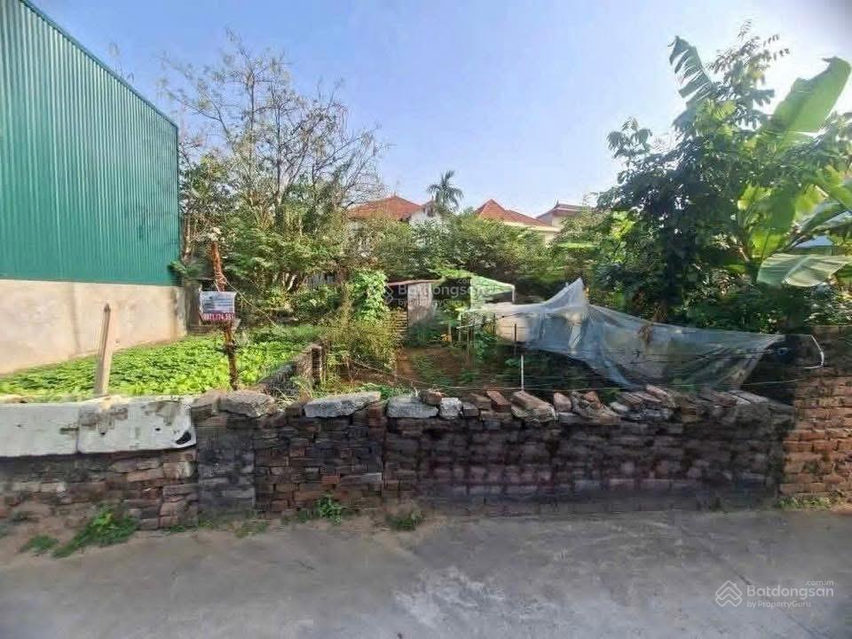Bán mảnh đất phân lô hai mặt ngõ thôn hạ  dương hà gần chợ ninh hiệp, rất gần cầu đuống