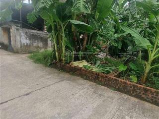 Gia 2,8 tỷ , mảnh đất mặt ngõ ô tô thông kim hồ  gia lâm gần trường đại học dệt may n