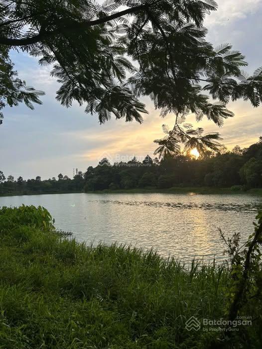 Chính chủ bán căn 3pn orchard heights sycamore | 98m | view hồ sinh thái | căn trục 03 hiếm