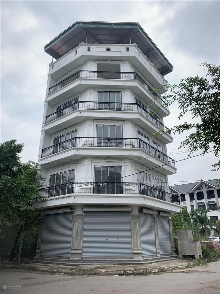 Cho thuê nhà riêng lô góc khu phân lô làm văn phòng 65m x 5 tầng 0983 103 *** gặp chủ nhà!