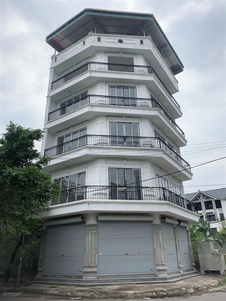 Cho thuê nhà riêng lô góc khu phân lô làm văn phòng 65m x 5 tầng 0983 103 *** gặp chủ nhà!