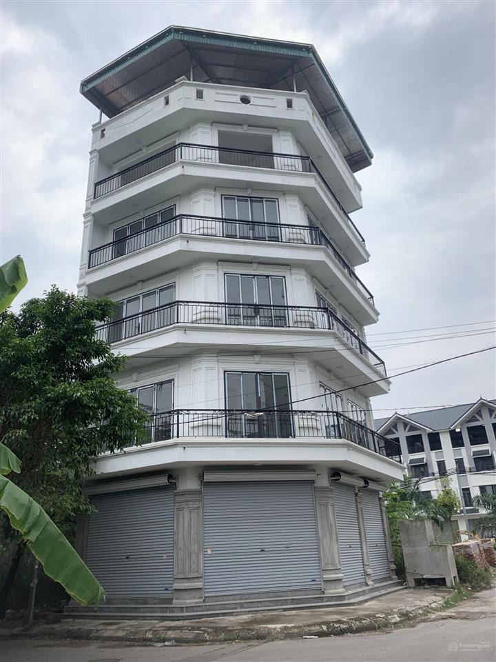 Cho thuê nhà riêng lô góc khu phân lô làm văn phòng 65m x 5 tầng 0983 103 *** gặp chủ nhà!