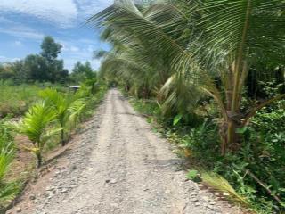 Bán 1480m2 đất full thổ cư xã hòa khánh tây, đức hòa long an