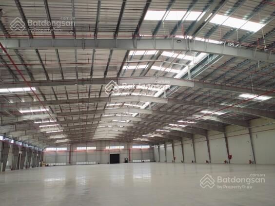 Kho riêng tự quản, kho chung có thủ kho ql (dv fulfillment) pccc có nghiệm thu, cont vào thoải mái