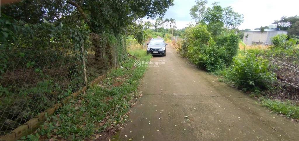 Đất vườn sầu riêng chôm chôm đang thu hoạch, đường bê tông 5m, cổng kcn dầu giây, t. nhất, đồng nai