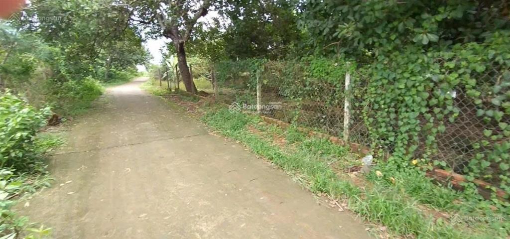 Đất vườn sầu riêng chôm chôm đang thu hoạch, đường bê tông 5m, cổng kcn dầu giây, t. nhất, đồng nai