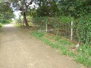 Đất vườn sầu riêng chôm chôm đang thu hoạch, đường bê tông 5m, cổng kcn dầu giây, t. nhất, đồng nai