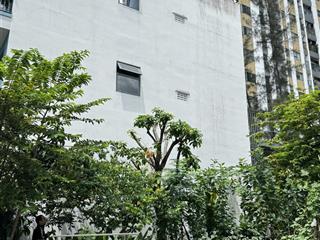 Chính chủ bán đất 146m2 vị trí cực đẹp trục liên phường q9 giá chỉ 15 tỷ