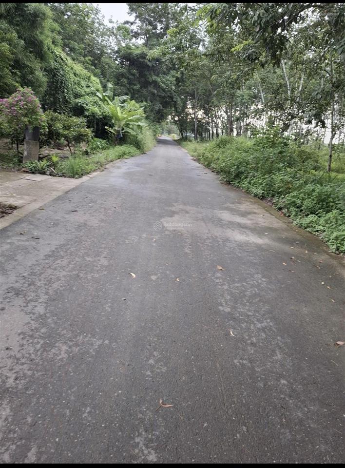 Bán 3,138m2 đất đường đt 748, xã thanh an, hồ chí minh, đã đóng tiền một lần 3,004m2 skc