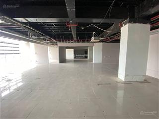 Cho thuê mặt bằng thương mại 15.000m2 gò vấp, phù hợp f&b, siêu thị, gym, trung tâm đào tạo