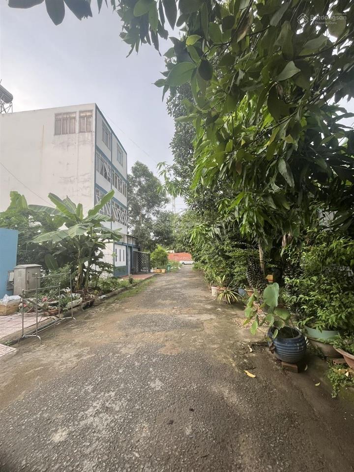 Bán nhanh đất nền biệt thự, đường 12m, quận 2 cũ