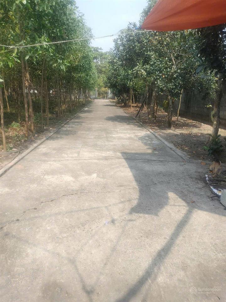 Chính chủ bán tổng 5300m2 đất xã lộc an, long thành, đồng nai giá 55 tỷ