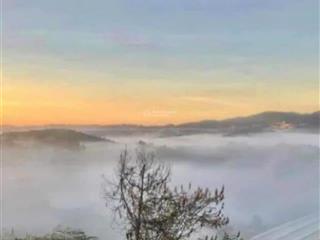 Bán đất 10.000m2 biệt thự nghỉ dưỡng mangline, đà lạt