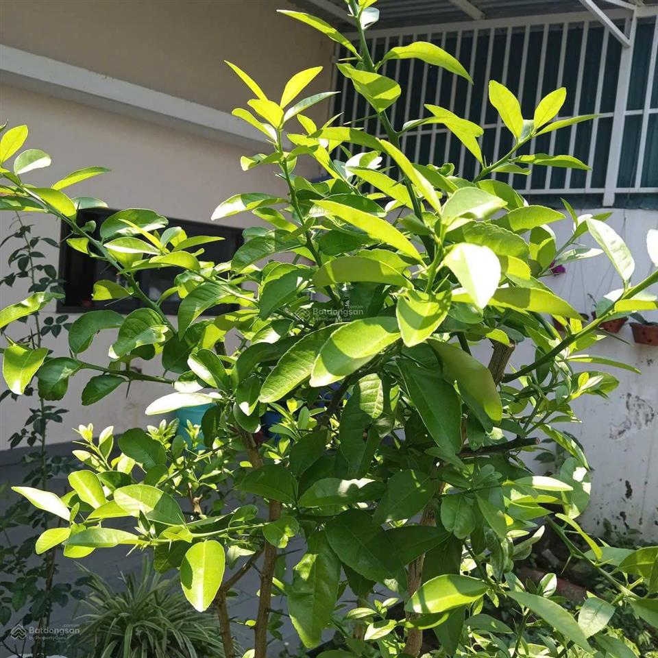 Cho thuê nhà 3pn, 3wc, nội thất đầy đủ, 12 triệu/tháng, có chỗ đậu oto tại nội khu vsipquảng ngãi