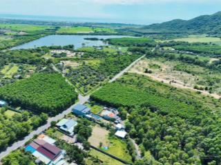 Thị trấn phước hải  long đất  brvt view núi hồ siêu đẹp
dt 241,3m2  ngang 10x24m  sẵn 1