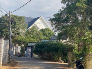 32m mặt tiền phước thọ  1,116mv sẵn 300tc trung tâm tt. đất đỏ lô góc 3 mặt tiền