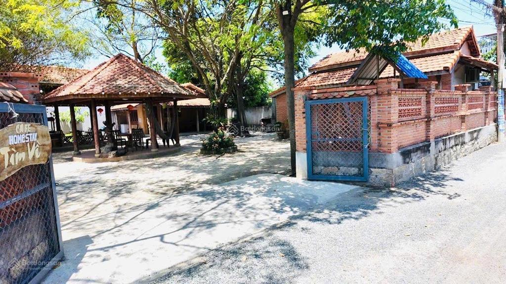 Cách bãi tắm,quảng trường 900m
phước hải tp hcm
khu vực homestay,coffe nhà hàng dân cư đông