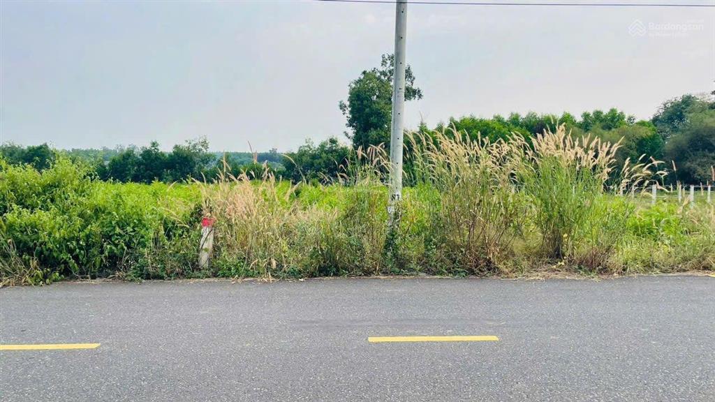 Chủ ngộp hạ giá sâu lô đất mặt tiền 32m đường nhựa đất đỏ vị trí xã đất đỏ tp. hcm