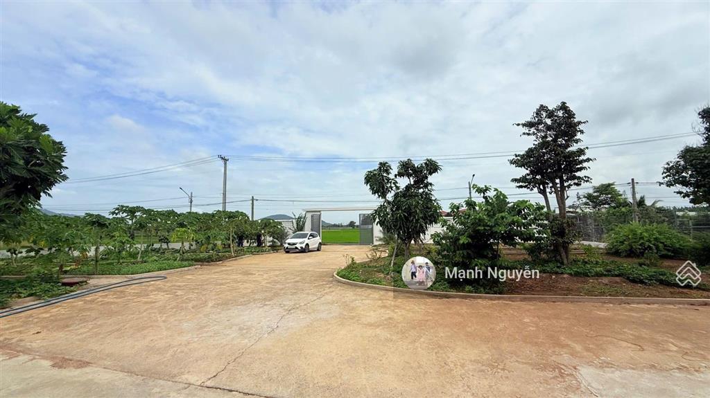 Nhà vườn mái thái 3015m2 trung tâm
dt 3015m227,7x66 nở hậu 66m có 207m thổ cư
mặt tiền đường ng