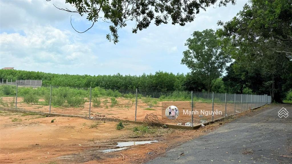 View núi giá siêu rẻ  gần biển dt 606m2 9x74  mặt tiền đường nhựa sát chân núi minh đạm. đất bằng