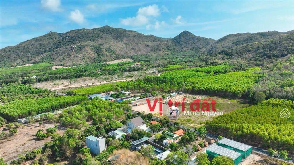 View núi giá siêu rẻ  gần biển dt 606m2 9x74  mặt tiền đường nhựa sát chân núi minh đạm. đất bằng