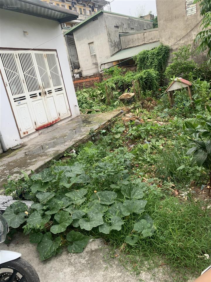 Bán đất tu hoàng sổ đỏ chính chủ