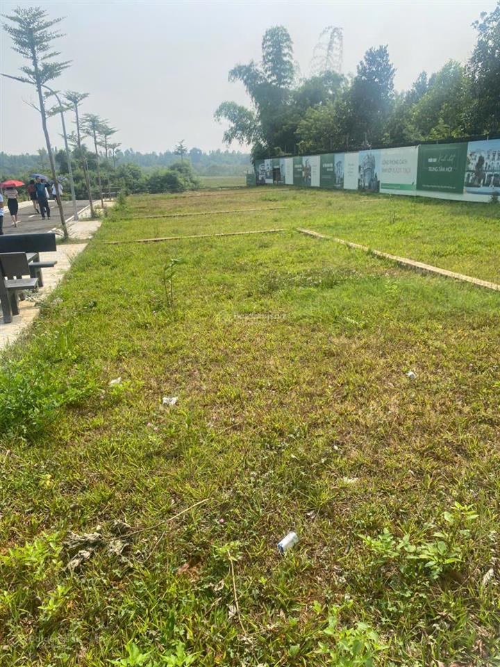 Gia đình em cần bán gấp 101m đất đẹp hướng nam mát tại ba vì để trả lãi ngân hàng