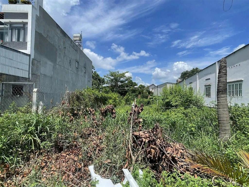 Đất ngộp tìm chủ mới 267m2 tân thông hội gần chợ việt kiều giá chỉ 1 tỷ 050 triệu sổ riêng