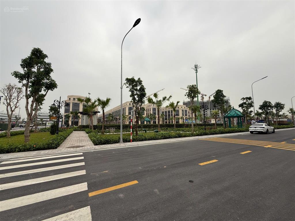 Cắt lỗ biệt thự view vườn hoa hướng đông nam tại vinhomes cổ loavinhomes global gate