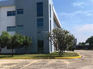 Nhà xưởng chủ cho thuê giá rẻ (duy trì lãi suất). rẻ hơn thị trường nhằm tiếp cận giai đoạn kk