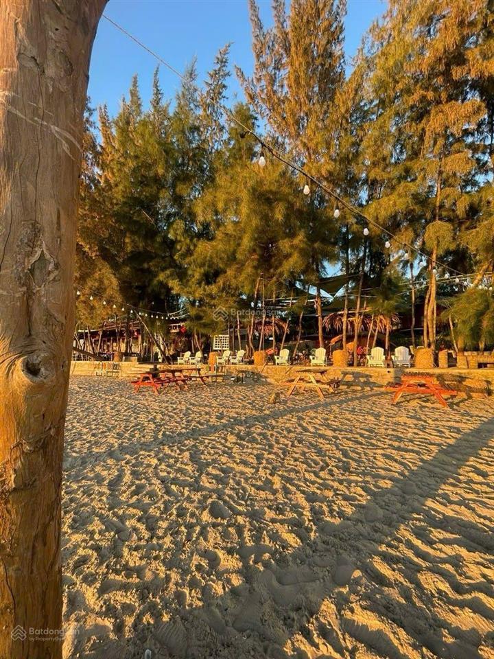 Hơn 8 ha dự án biển lagi  bình thuận  lâm đồng cần chuyển nhượng cổ phần