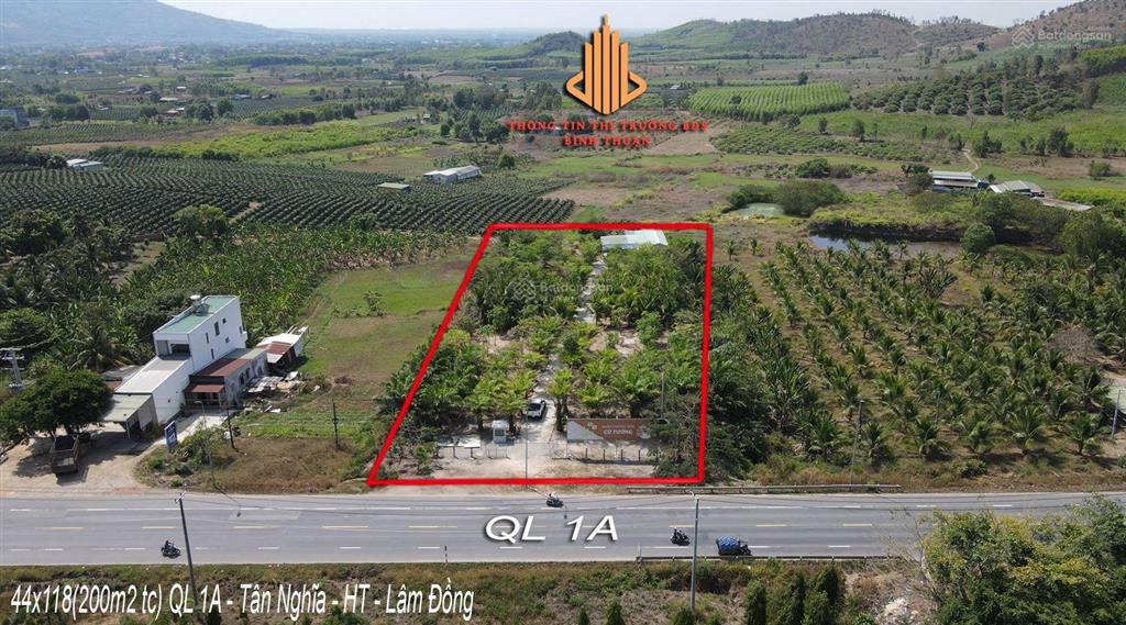 44x113m mặt tiền ql 1a  tân nghĩa  hàm tân  lâm đồng cần bán gấp