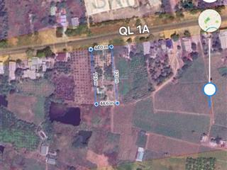 44x113m mặt tiền ql 1a  tân nghĩa  hàm tân  lâm đồng cần bán gấp