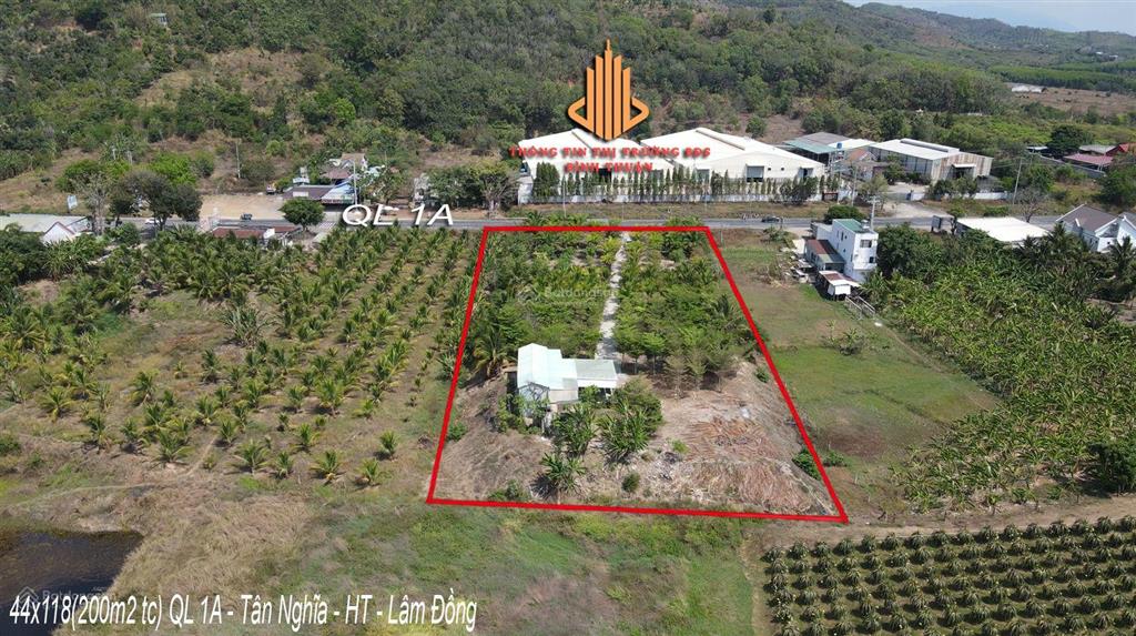 44x113m mặt tiền ql 1a  tân nghĩa  hàm tân  lâm đồng cần bán gấp