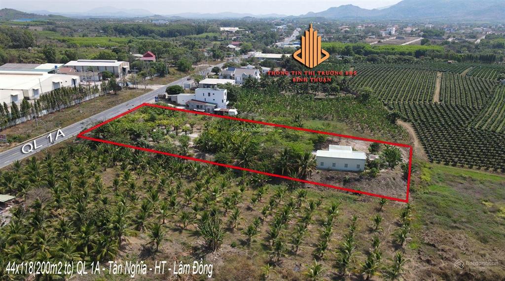 44x113m mặt tiền ql 1a  tân nghĩa  hàm tân  lâm đồng cần bán gấp