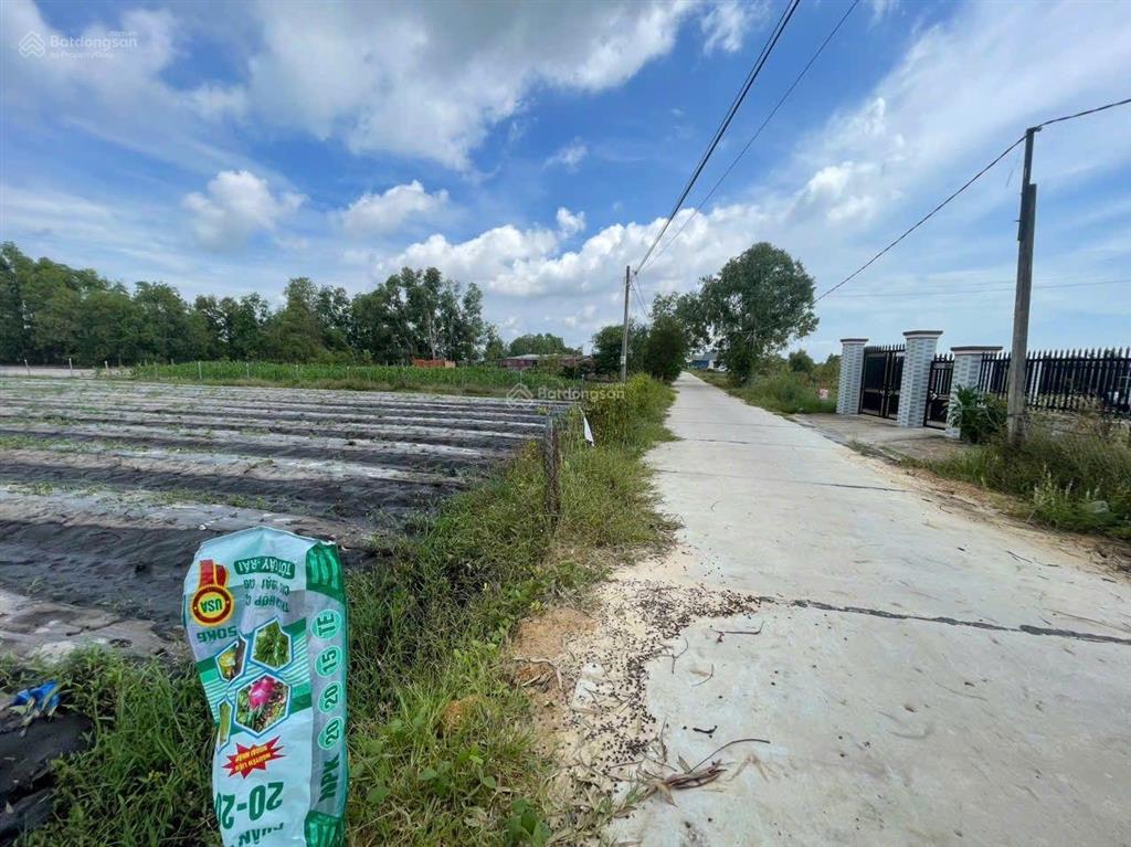 9000m2 mặt tiền bê tông 5m tân bình  lagi  lâm đồng cần bán giá rẻ