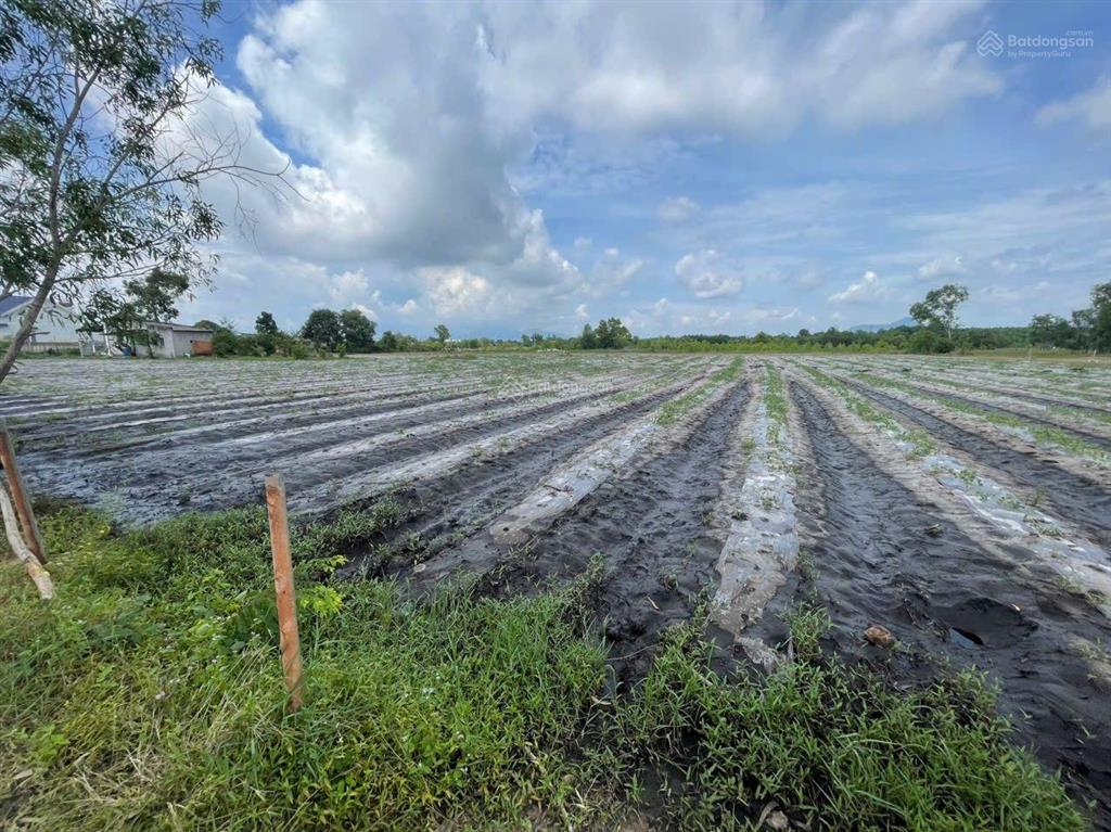 9000m2 mặt tiền bê tông 5m tân bình  lagi  lâm đồng cần bán giá rẻ