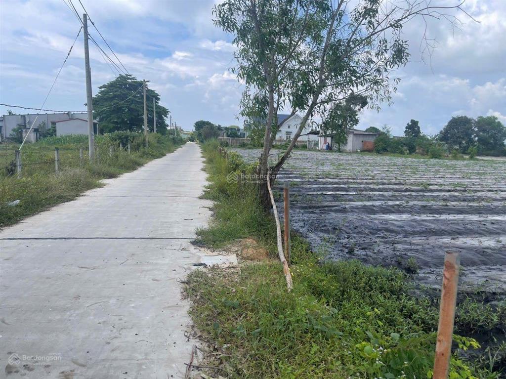 9000m2 mặt tiền bê tông 5m tân bình  lagi  lâm đồng cần bán giá rẻ