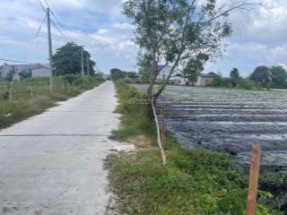 9000m2 mặt tiền bê tông 5m tân bình  lagi  lâm đồng cần bán giá rẻ