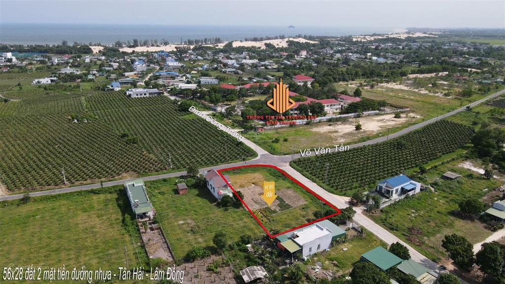 56x30m, đất 2 mặt tiền nhựa tân hải  lâm đồng cần bán gấp