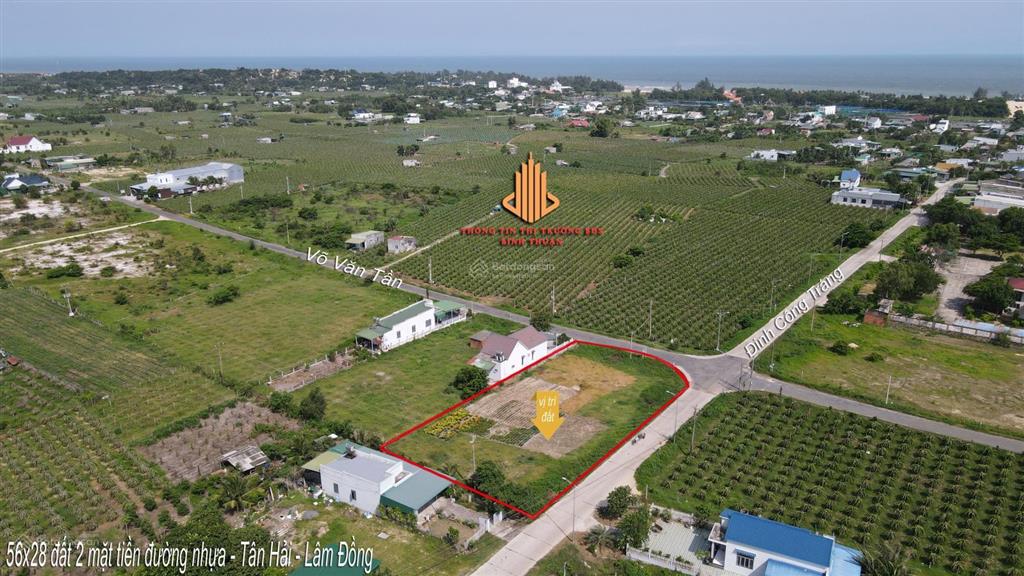 56x30m, đất 2 mặt tiền nhựa tân hải  lâm đồng cần bán gấp