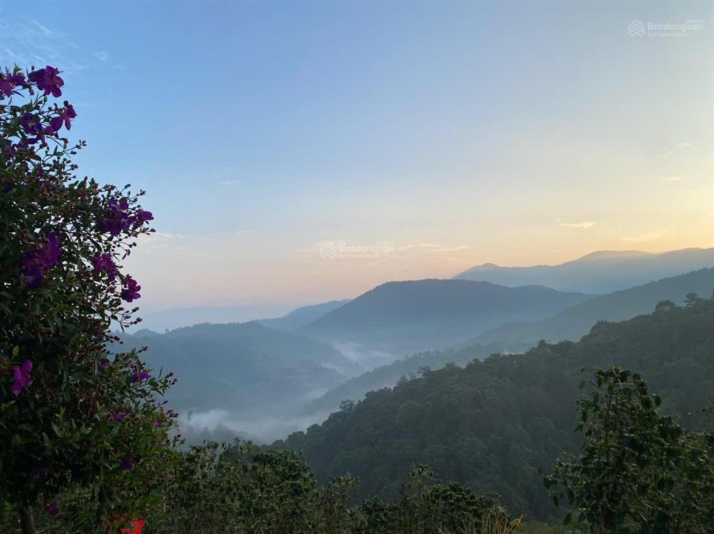 Chính chủ bán mảnh vườn có sẵn nhà, ao cá, cafe, view săn mây cực đẹp