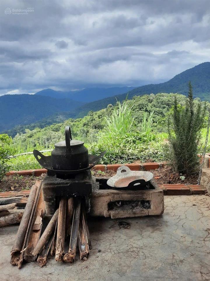 Chính chủ bán mảnh vườn có sẵn nhà, ao cá, cafe, view săn mây cực đẹp