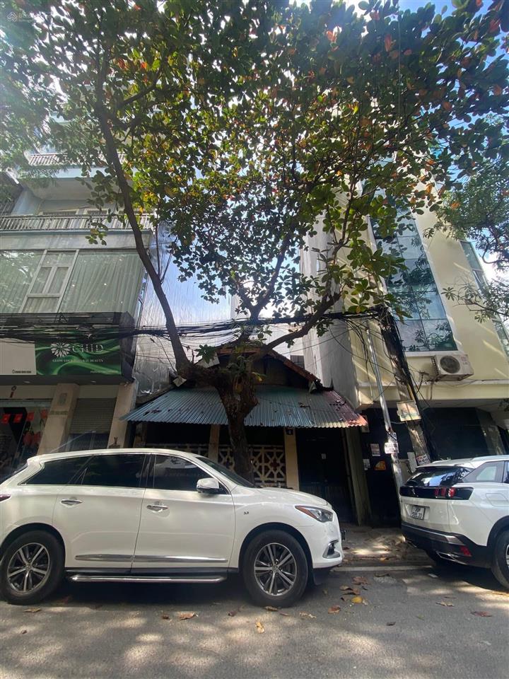 Mặt phố bùi thị xuân trung tâm phố vip hai bà trưng giá đầu tư hiếm dt 164 m cấp 4 mt 6.5 m gi
