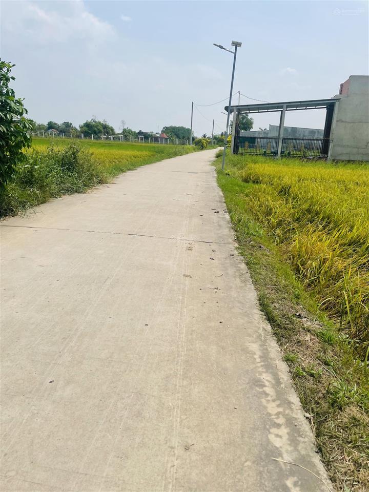 Đất giồng lớn mỹ hạnh nam dt 5*30m, giá đầu tư